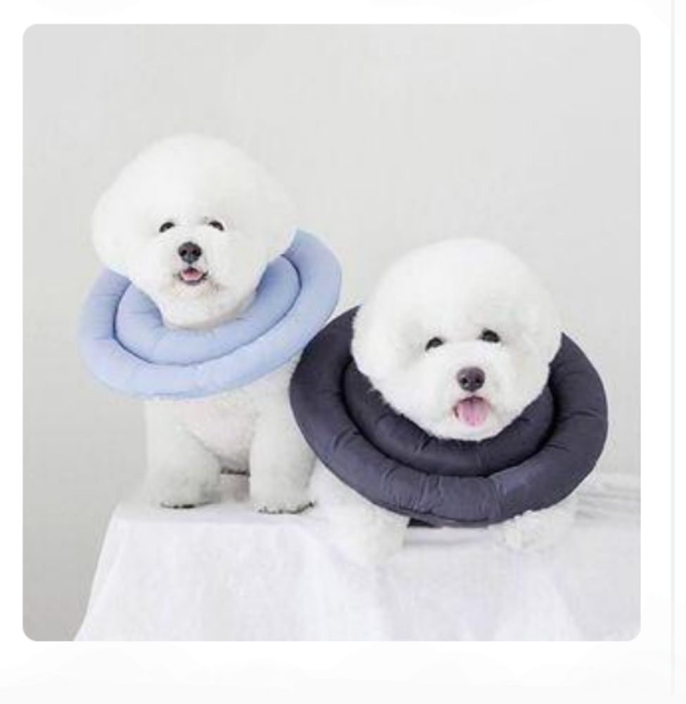 Pet Gray & White Size Medium Padded Recovery Collar